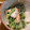 ほのぼのいっこ's cooksnap of when they made 簡単♪ほうれん草×チクワ♡マヨ和え.