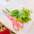 あやちん０８１６'s cooksnap of when they made 超簡単キレイ☆ 絹さや 筋とり.