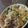 あゆたっくん's cooksnap of when they made 白菜牛丼～温玉のせ～.
