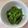 ながぴー♧'s cooksnap of when they made ✿ピーマンのオイスターソース炒め✿.