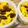 kisberry's cooksnap of when they made かぼちゃのヨーグルトサラダ.