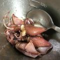 クックNPN3GI☆'s cooksnap of when they made ほたるいかを食べよう！！【ごま油あえ】.