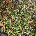 Kirin♬'s cooksnap of when they made ご飯がすすむ！大根の葉としらすのふりかけ.