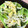 わたさな2016's cooksnap of when they made なばなとしらすの卵とじ.