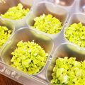 麻's cooksnap of when they made ♡離乳食♡そらまめペースト【初期】.