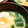 クリーピングタイム☆'s cooksnap of when they made 落とし卵の味噌汁.