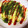 ノビル's cooksnap of when they made 残った焼きそばをリメイク！そばめし☆.