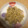 akasio10's cooksnap of when they made 旬の新玉ねぎの玉子とじ☆5分で完成☆.