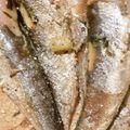 クックTHM5YF☆'s cooksnap of when they made いわしのガーリック煮.