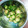 G_Yossan's cooksnap of when they made キュウリとかつお節の和え物　簡単！.