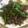 コムギ大好き's cooksnap of when they made 簡単中華！いんげんのひき肉炒め♪.