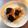 ひろこうぽんママ's cooksnap of when they made 焼き海苔消費！海苔の炊き込みご飯.