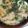 musakosu's cooksnap of when they made 福岡の定番◆ごぼ天うどん.