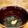 ＊あんずあん＊'s cooksnap of when they made ところてんにおろしショウガをトッピング.