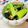 U☆kaoru's cooksnap of when they made 小松菜としめじのナムル.