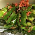 冷蔵庫レスキュー隊's cooksnap of when they made ピーマンの明太子炒め.