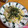 tomotoe's cooksnap of when they made 簡単！さっぱりキュウリ鮭ちらし寿司.