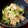 ばたみそーぱん☆'s cooksnap of when they made えのきと三つ葉のシャキシャキ一品.