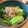☆ayumikan☆'s cooksnap of when they made 青梗菜のおかかお浸し.