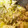 クックS0MF1W☆'s cooksnap of when they made ねぎ塩だれ.