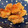 MICHI☆☆☆'s cooksnap of when they made 失敗ナシ！簡単レシピの鶏の照り焼き.