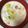 あーりょうママ's cooksnap of when they made ただ煮込むだけ！『白菜のミルクスープ』.