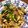riico3's cooksnap of when they made 豚にら椎茸の甘辛炒め.