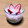 nemuchan's cooksnap of when they made ミキサーだけ！簡単いちごムース.
