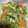 no1642's cooksnap of when they made 離乳食　後期完了期　野菜と卵のスープ.