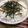 okapi☆☆'s cooksnap of when they made びっくり長芋とろろご飯。.
