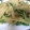 estimania's cooksnap of when they made じゃがいもの山椒炒め.