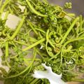 クック7O0BFJ☆'s cooksnap of when they made ストウブ【staub】❦わらびのあくぬき.