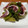 yumelon88's cooksnap of when they made イカと青菜の炒め物.