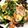 あまね's cooksnap of when they made コリコリ生キクラゲと豚にら炒め.