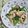mmameco's cooksnap of when they made イカと夏野菜の塩レモン炒め.