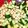 クックRG48W1☆'s cooksnap of when they made つまみ食いが止まらない☆ひよこ豆のサラダ.