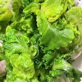 toshio39's cooksnap of when they made 農家さん直伝！ゆでるだけ☆プチヴェール♪.