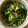 クックCZ4VE0☆'s cooksnap of when they made のらぼう菜とツナのサラダ風.