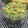 etsukoooo's cooksnap of when they made たるたるブロッコリーの胡麻和え.