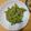もりのりころ's cooksnap of when they made 枝豆　茹で方.