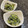 わか★'s cooksnap of when they made ゴマクリームとほうれん草でササっとお弁当.