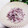 Dellaたん's cooksnap of when they made 大根のゆかり和え.