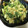 ＊chi〜ko＊'s cooksnap of when they made 小松菜とゆで卵のカレーマヨ♪お弁当にも.