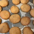 ここねパパ1126's cooksnap of when they made 失敗なし☆簡単きなこクッキー.