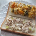 きらり流れ星's cooksnap of when they made ネギとツナのサラダ.