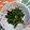 くネコまろす's cooksnap of when they made 簡単☆春菊の茎のきんぴら.