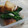 クックVVO8Y4☆'s cooksnap of when they made 豆苗とお揚げさんのあえもの.