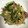 きなりん＊'s cooksnap of when they made だしの素で！青梗菜としめじの豚肉卵炒め.