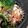 かなぽん☆☆'s cooksnap of when they made 冷凍保存で作り置き！卯の花＊おからの煮物.