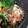 かなぽん☆☆'s cooksnap of when they made 冷凍保存で作り置き！卯の花＊おからの煮物.